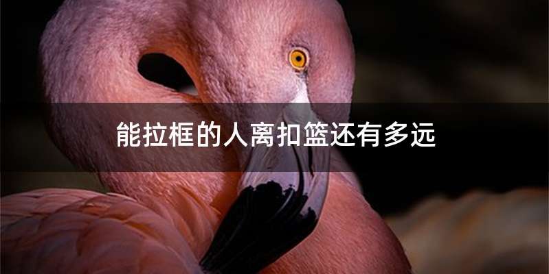 能拉框的人离扣篮还有多远