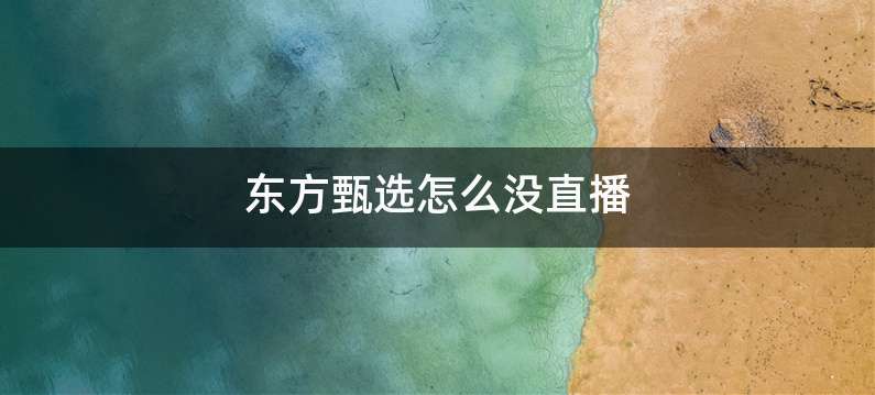 东方甄选怎么没直播
