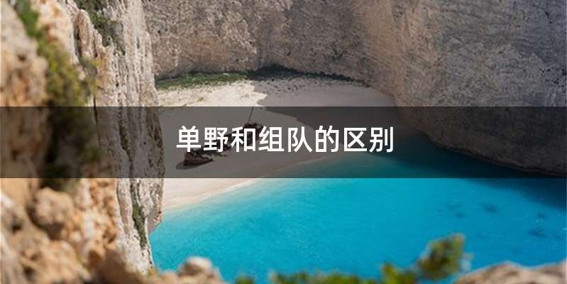 单野和组队的区别