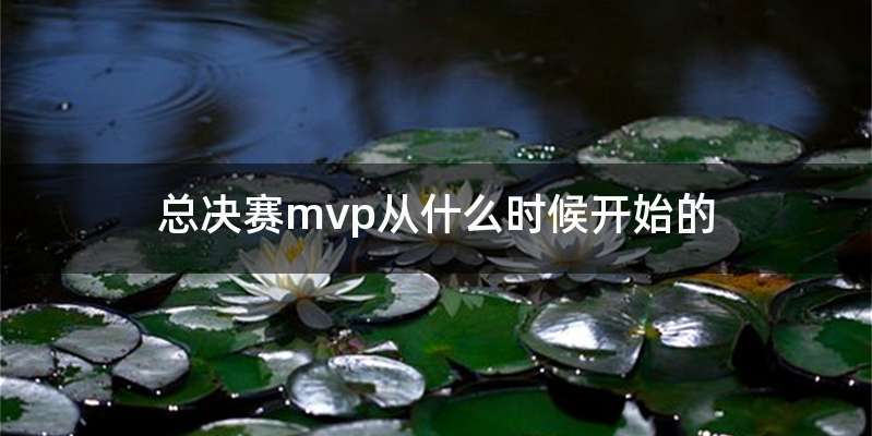 总决赛mvp从什么时候开始的
