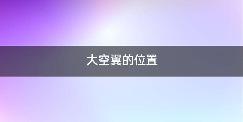 大空翼的位置