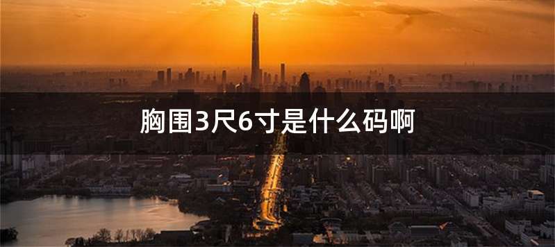 胸围3尺6寸是什么码啊