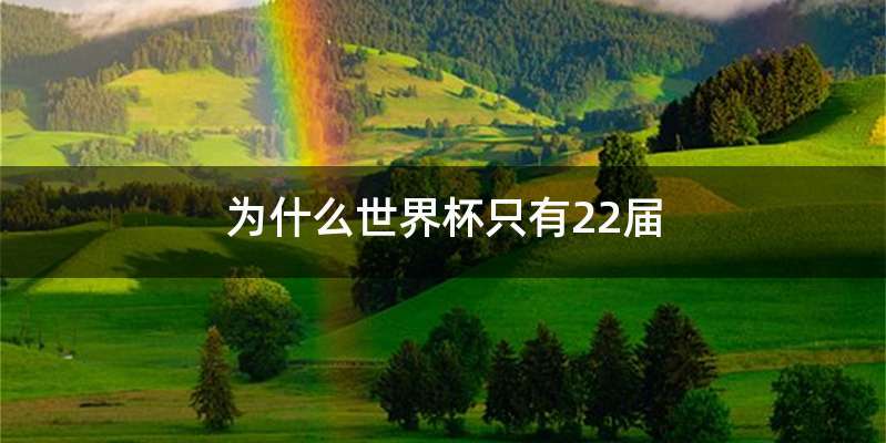 为什么世界杯只有22届