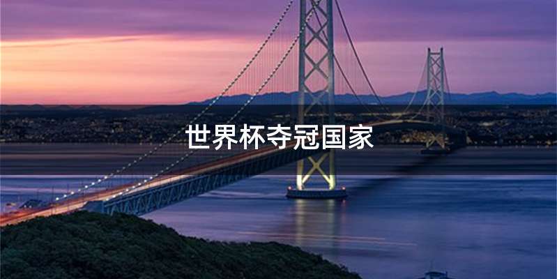 世界杯夺冠国家