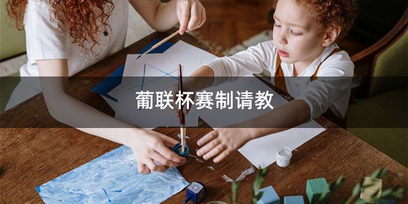 葡联杯赛制请教