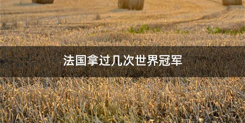 法国拿过几次世界冠军