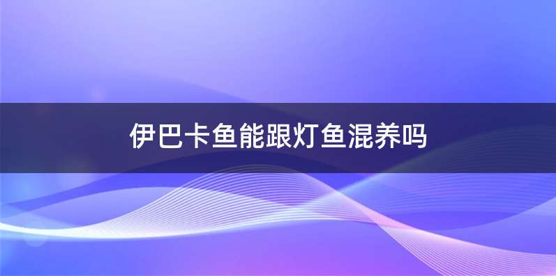 伊巴卡鱼能跟灯鱼混养吗