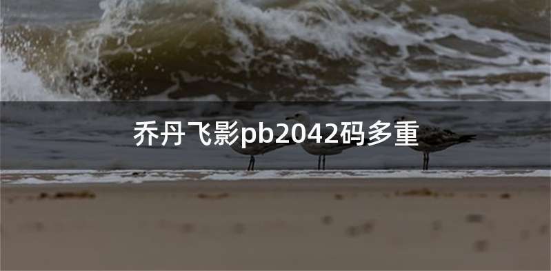 乔丹飞影pb2042码多重