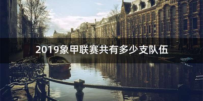 2019象甲联赛共有多少支队伍
