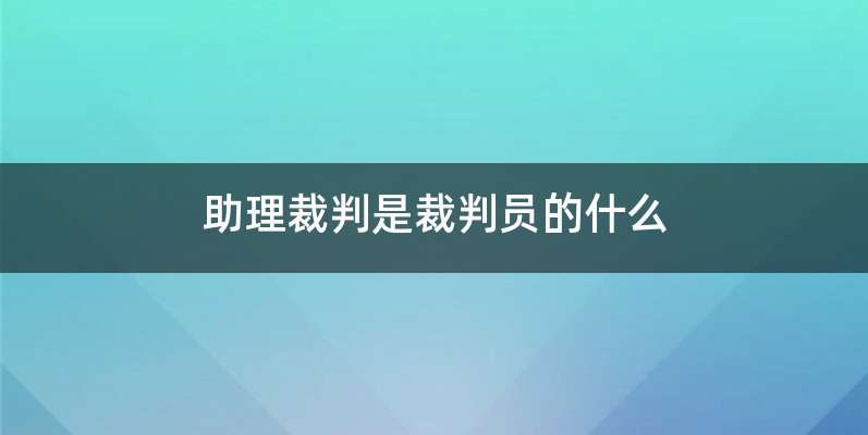 助理裁判是裁判员的什么