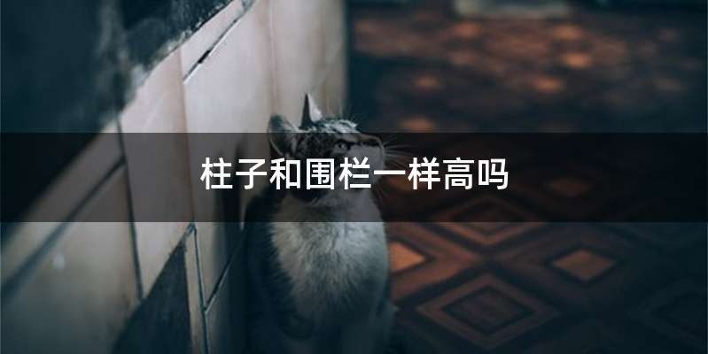 柱子和围栏一样高吗