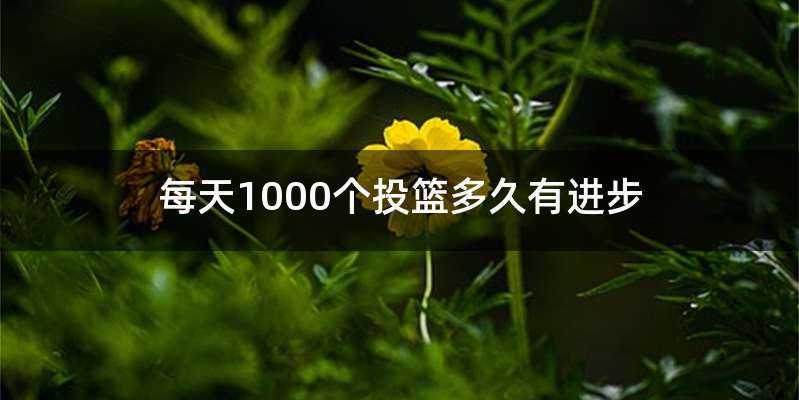 每天1000个投篮多久有进步