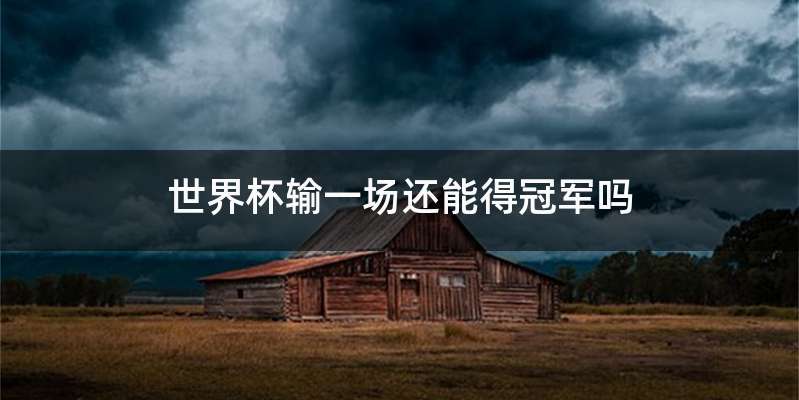 世界杯输一场还能得冠军吗