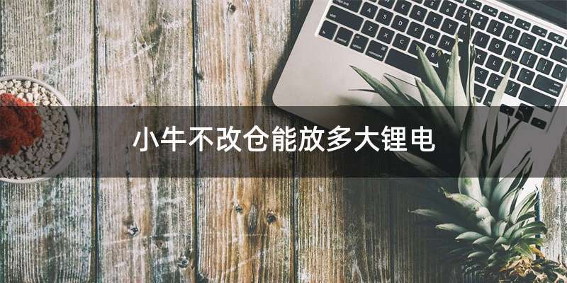 小牛不改仓能放多大锂电