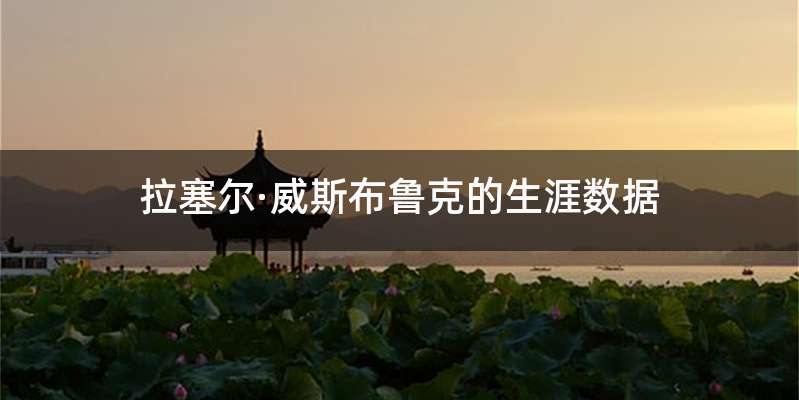 拉塞尔·威斯布鲁克的生涯数据