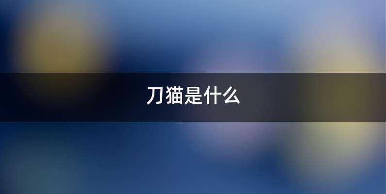 刀猫是什么