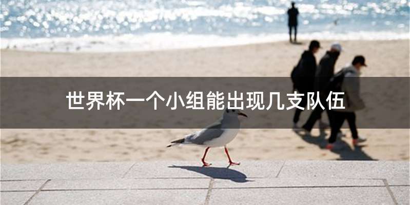 世界杯一个小组能出现几支队伍