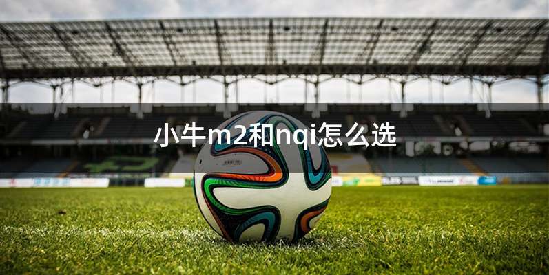 小牛m2和nqi怎么选