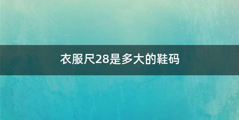 衣服尺28是多大的鞋码