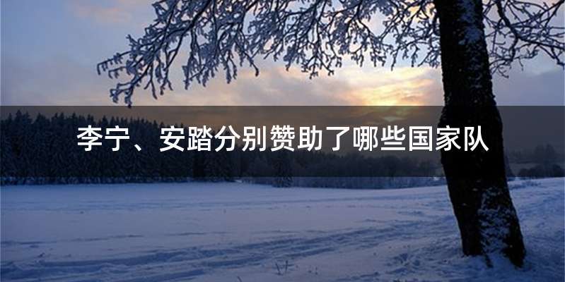 李宁、安踏分别赞助了哪些国家队