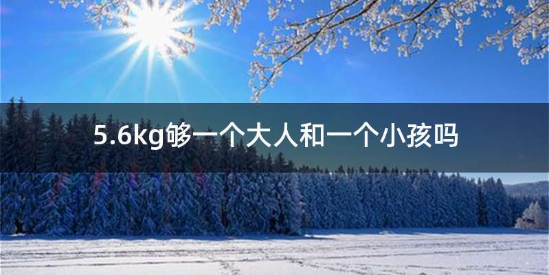 5.6kg够一个大人和一个小孩吗