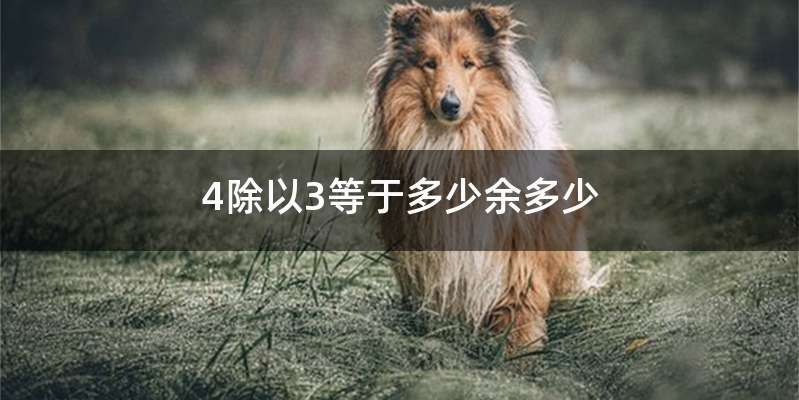 4除以3等于多少余多少