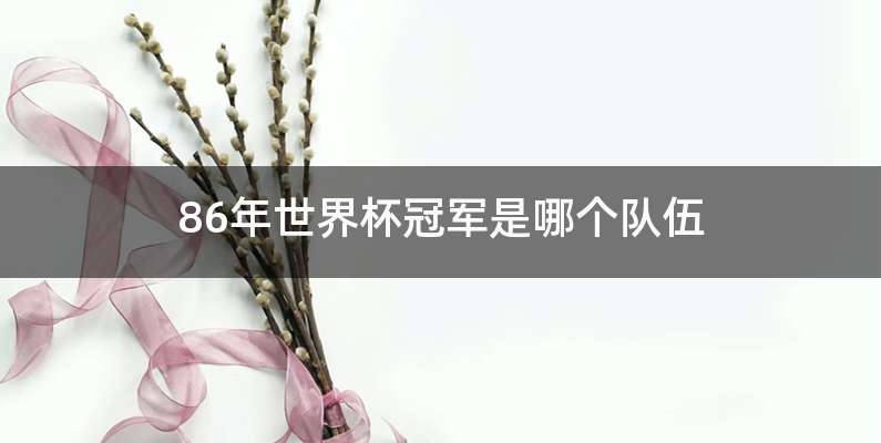 86年世界杯冠军是哪个队伍