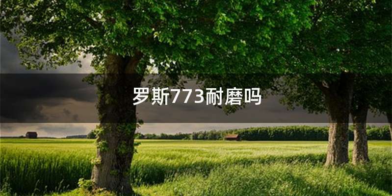 罗斯773耐磨吗
