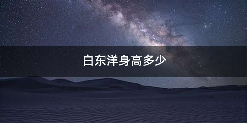 白东洋身高多少