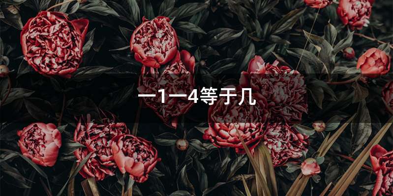一1一4等于几