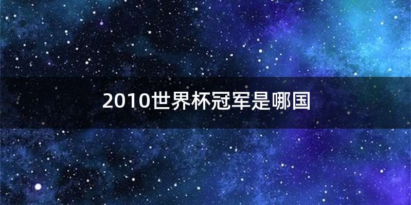 2010世界杯冠军是哪国