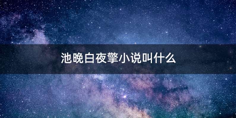 池晚白夜擎小说叫什么
