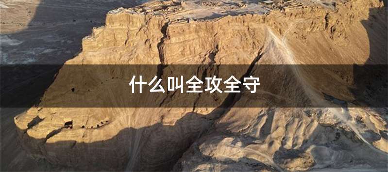 什么叫全攻全守