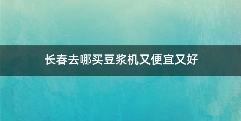 长春去哪买豆浆机又便宜又好