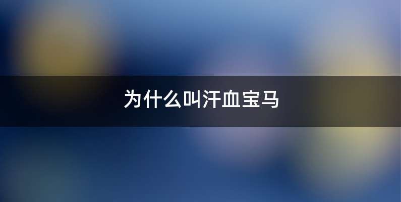 为什么叫汗血宝马