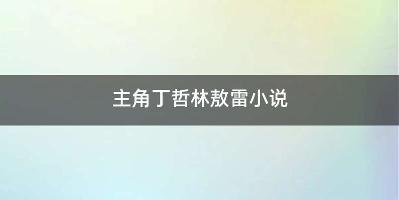 主角丁哲林敖雷小说