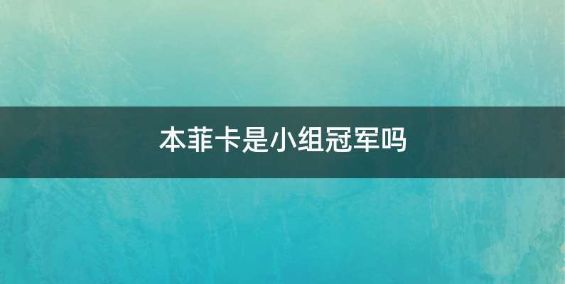 本菲卡是小组冠军吗