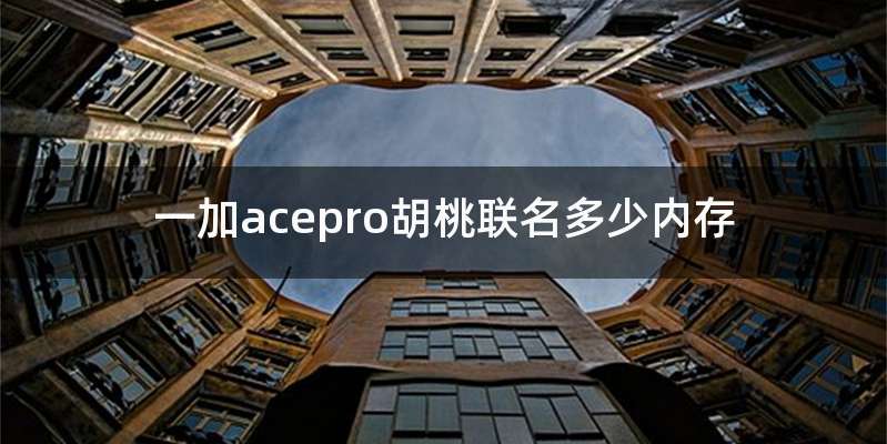一加acepro胡桃联名多少内存