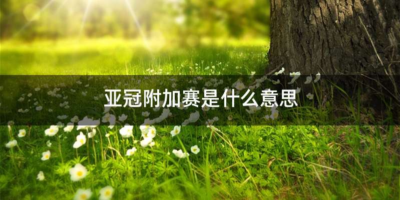 亚冠附加赛是什么意思