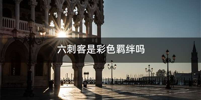 六刺客是彩色羁绊吗