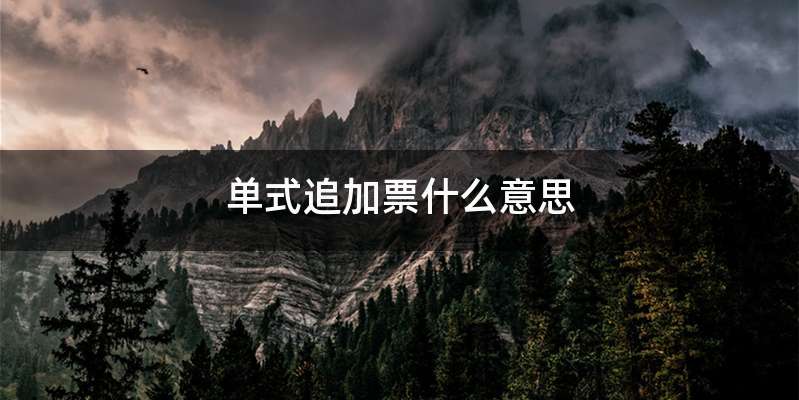 单式追加票什么意思