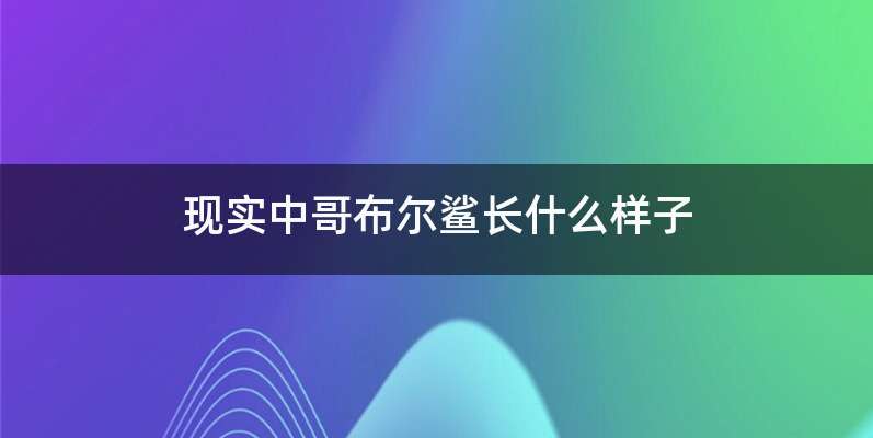 现实中哥布尔鲨长什么样子
