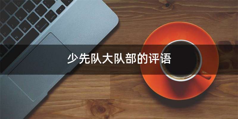 少先队大队部的评语