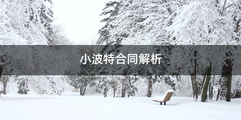 小波特合同解析