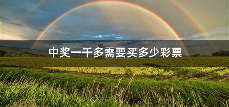 中奖一千多需要买多少彩票