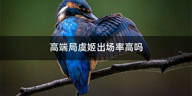 高端局虞姬出场率高吗