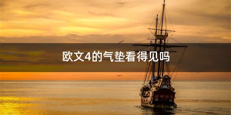 欧文4的气垫看得见吗