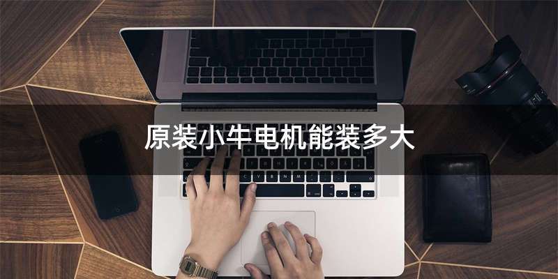 原装小牛电机能装多大