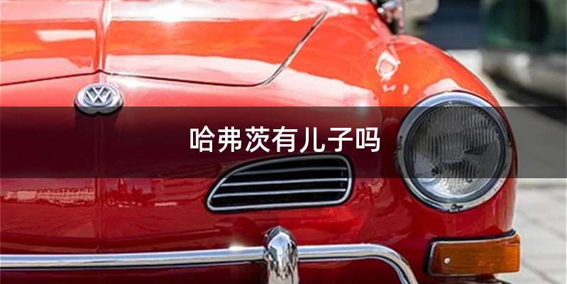 哈弗茨有儿子吗