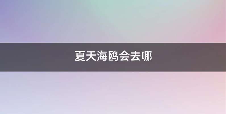 夏天海鸥会去哪